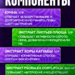 NOOTROPIC (CHEMIX), Модуляция моноаминовых нейромедиаторов, 168 capsules