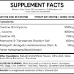 CreaSyn (Synful Supplements) 312g