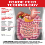 Feast Mode: стимулируйте аппетит и увеличивайте потребление калорий с MuscleMeds