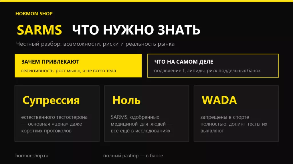 статья про sarm