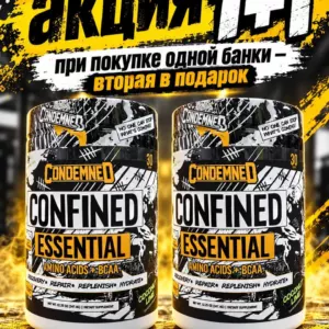 Essential (Condemned) 